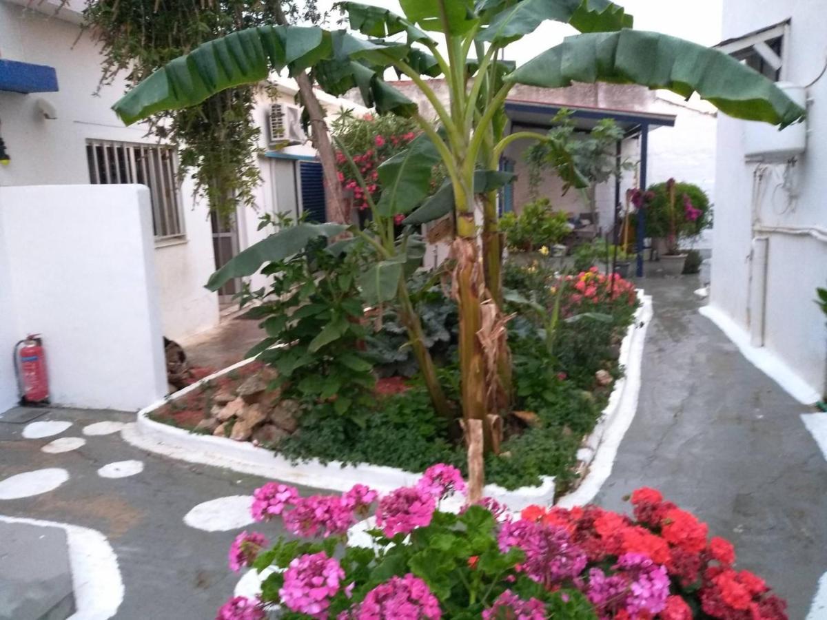 4 Seasons Suites Paradise Near Athens Airport Markópoulon Eksteriør billede